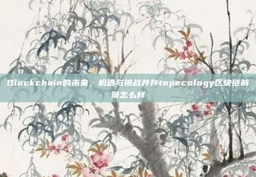 Blockchain的未来，机遇与挑战并存topecology区块链前景怎么样