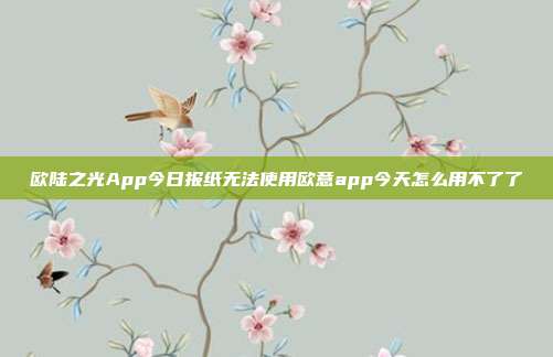 欧陆之光App今日报纸无法使用欧意app今天怎么用不了了