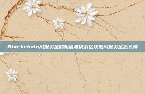 Blockchain风投资金的机遇与挑战区块链风投资金怎么样