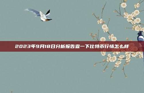 2023年9月18日分析报告查一下比特币行情怎么样