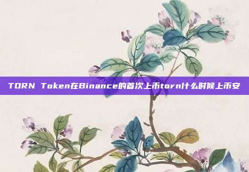 TORN Token在Binance的首次上币torn什么时候上币安