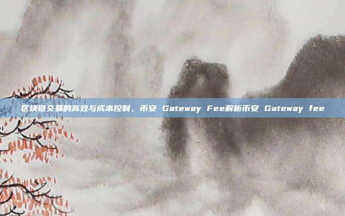 区块链交易的高效与成本控制，币安 Gateway Fee解析币安 Gateway fee