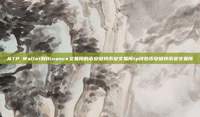 从TP Wallet到Binance交易所的币安链转币安交易所tp钱包币安链转币安交易所