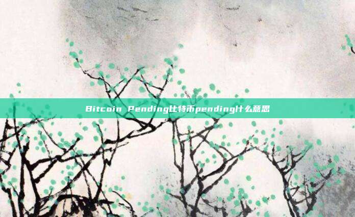 Bitcoin Pending比特币pending什么意思