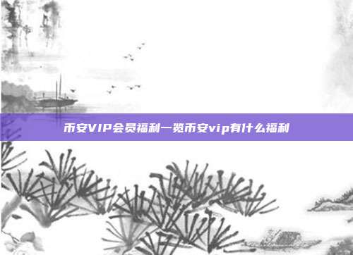 币安VIP会员福利一览币安vip有什么福利