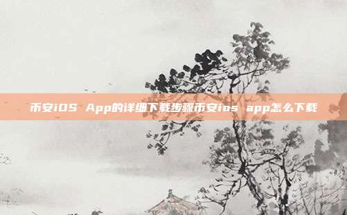 币安iOS App的详细下载步骤币安ios app怎么下载