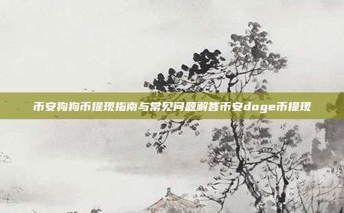 币安狗狗币提现指南与常见问题解答币安doge币提现