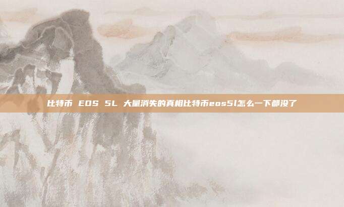 比特币 EOS 5L 大量消失的真相比特币eos5l怎么一下都没了