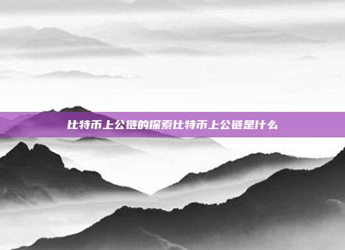 比特币上公链的探索比特币上公链是什么