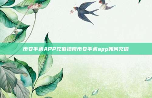 币安手机APP充值指南币安手机app如何充值