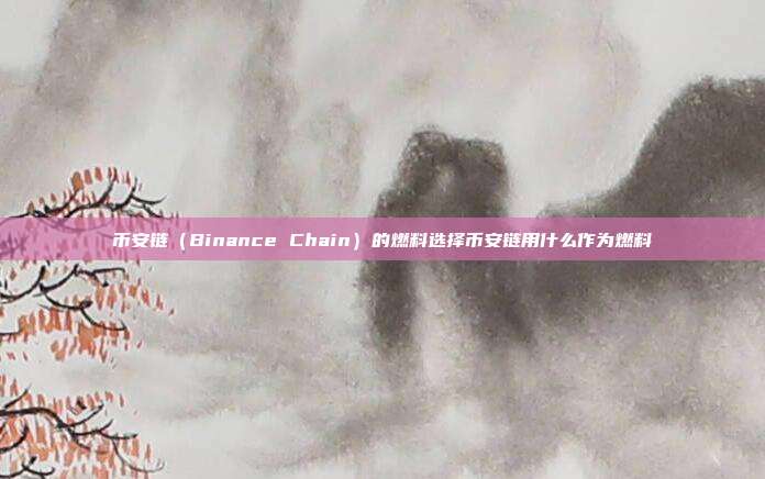 币安链（Binance Chain）的燃料选择币安链用什么作为燃料