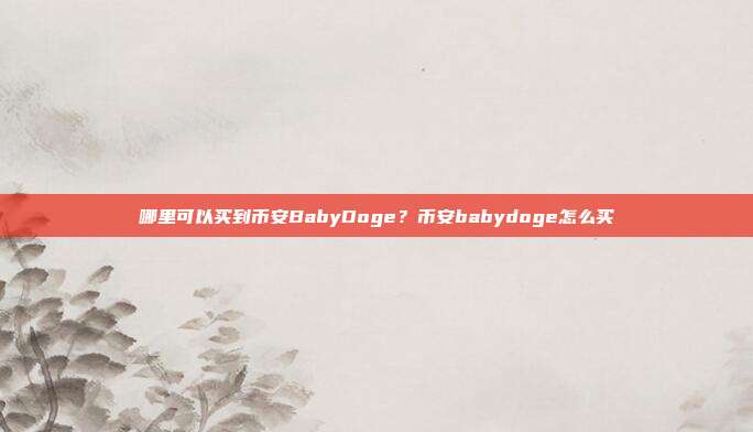 哪里可以买到币安BabyDoge？币安babydoge怎么买