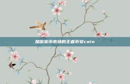 加密货币市场的王者币安coin