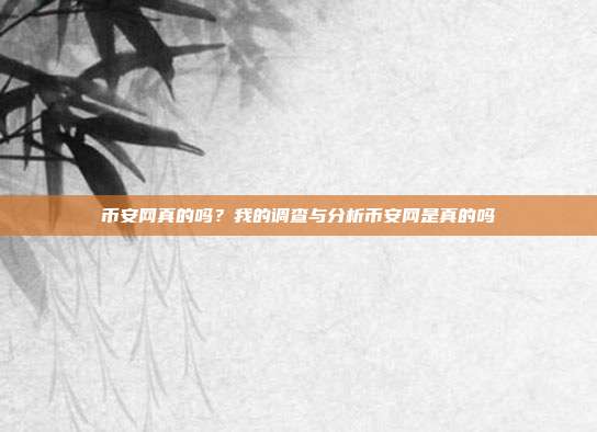 币安网真的吗？我的调查与分析币安网是真的吗