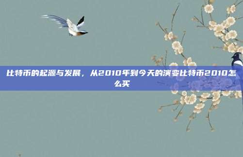 比特币的起源与发展，从2010年到今天的演变比特币2010怎么买