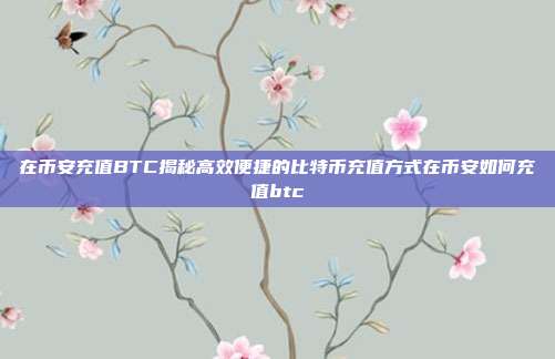 在币安充值BTC揭秘高效便捷的比特币充值方式在币安如何充值btc