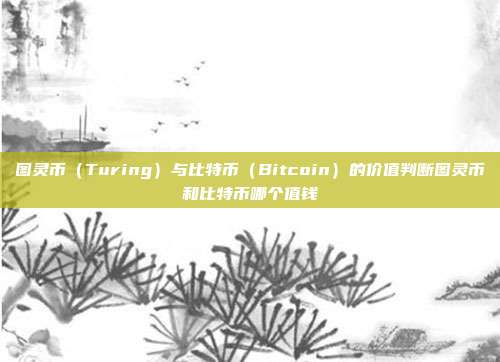 图灵币（Turing）与比特币（Bitcoin）的价值判断图灵币和比特币哪个值钱