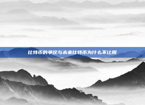 比特币的争议与未来比特币为什么不让用