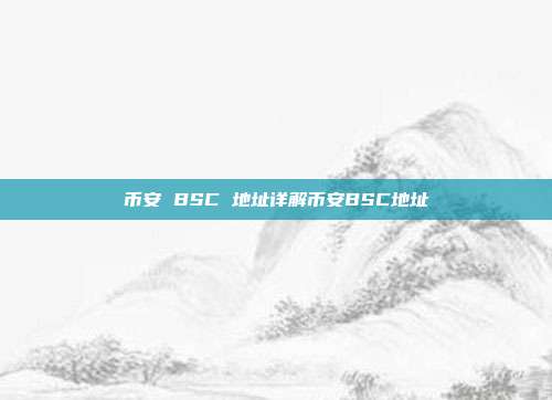 币安 BSC 地址详解币安BSC地址