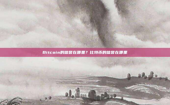 Bitcoin的信誉在哪里？比特币的信誉在哪里