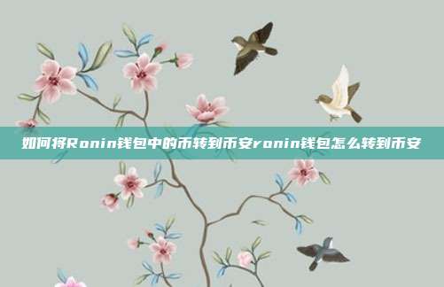 如何将Ronin钱包中的币转到币安ronin钱包怎么转到币安