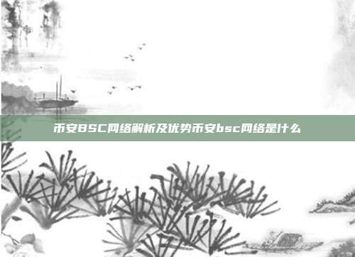 币安BSC网络解析及优势币安bsc网络是什么