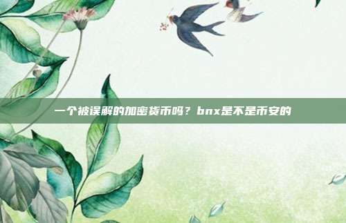 一个被误解的加密货币吗？bnx是不是币安的