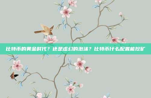 比特币的黄金时代？还是虚幻的泡沫？比特币什么配置能挖矿