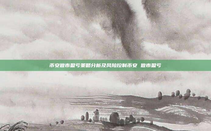 币安做市盈亏策略分析及风险控制币安 做市盈亏