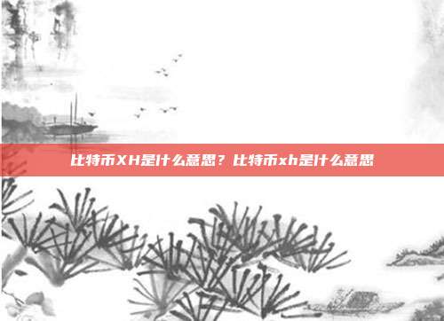 比特币XH是什么意思？比特币xh是什么意思