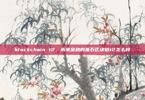 blockchain t2，未来金融的基石区块链t2怎么样