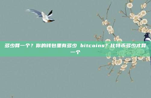 多少算一个？你的钱包里有多少 bitcoins？比特币多少才算一个