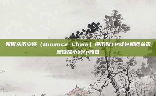 如何从币安链（Binance Chain）提币到TP钱包如何从币安链提币到tp钱包