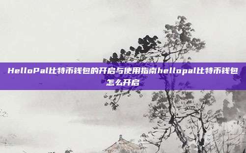 HelloPal比特币钱包的开启与使用指南hellopal比特币钱包怎么开启