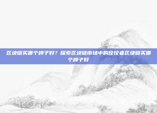 区块链买哪个牌子好？探索区块链市场中的佼佼者区块链买哪个牌子好