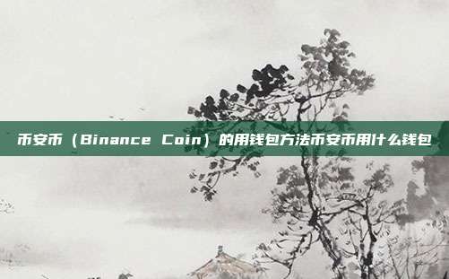 币安币（Binance Coin）的用钱包方法币安币用什么钱包