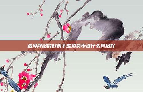 选择网络的好帮手虚拟货币选什么网络好