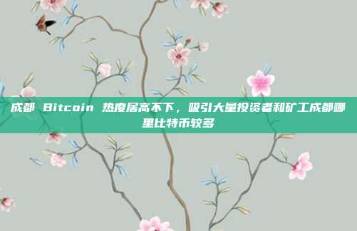 成都 Bitcoin 热度居高不下，吸引大量投资者和矿工成都哪里比特币较多