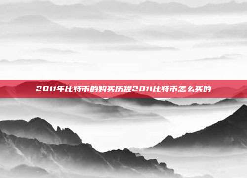 2011年比特币的购买历程2011比特币怎么买的