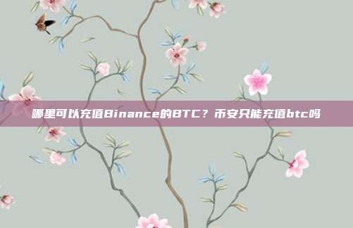 哪里可以充值Binance的BTC？币安只能充值btc吗