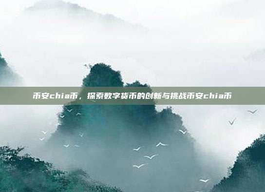 币安chia币，探索数字货币的创新与挑战币安chia币