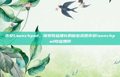 币安Launchpad，探索收益增长的秘密武器币安launchpad收益如何