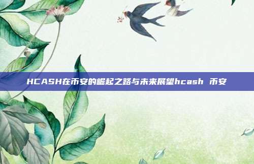 HCASH在币安的崛起之路与未来展望hcash 币安