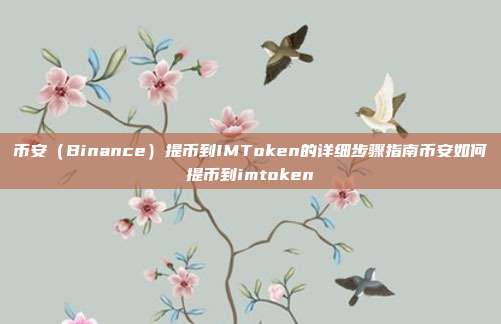 币安（Binance）提币到IMToken的详细步骤指南币安如何提币到imtoken