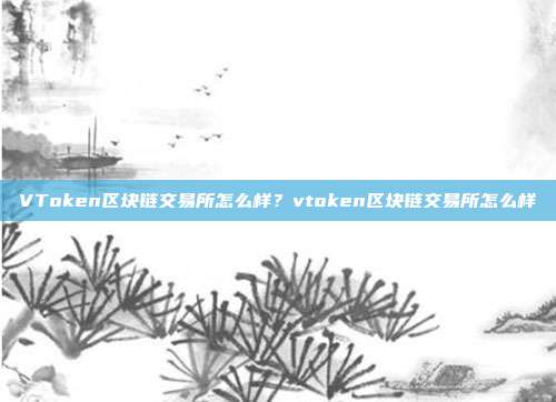 VToken区块链交易所怎么样？vtoken区块链交易所怎么样