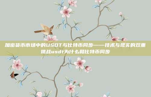 加密货币市场中的USDT与比特币同步——技术与现实的双重挑战usdt为什么和比特币同步