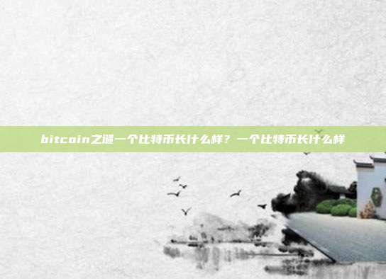 bitcoin之谜一个比特币长什么样？一个比特币长什么样