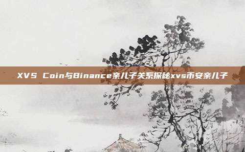 XVS Coin与Binance亲儿子关系探秘xvs币安亲儿子