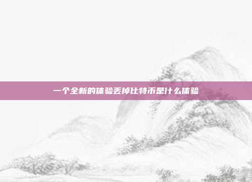 一个全新的体验丢掉比特币是什么体验