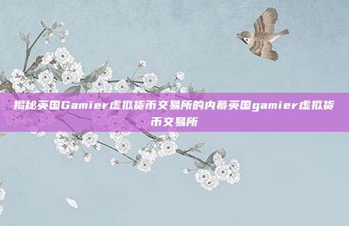 揭秘英国Gamier虚拟货币交易所的内幕英国gamier虚拟货币交易所